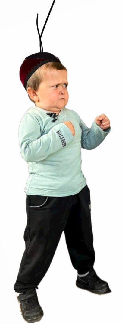 HASBULLA AIR FRESHER!🫐