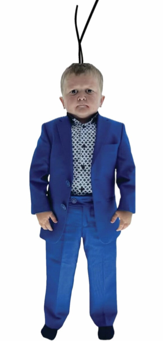 HASBULLA AIR FRESHER!🫐