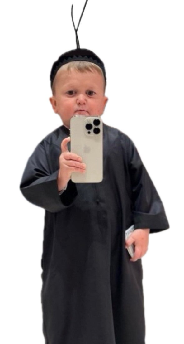 HASBULLA AIR FRESHER!🫐