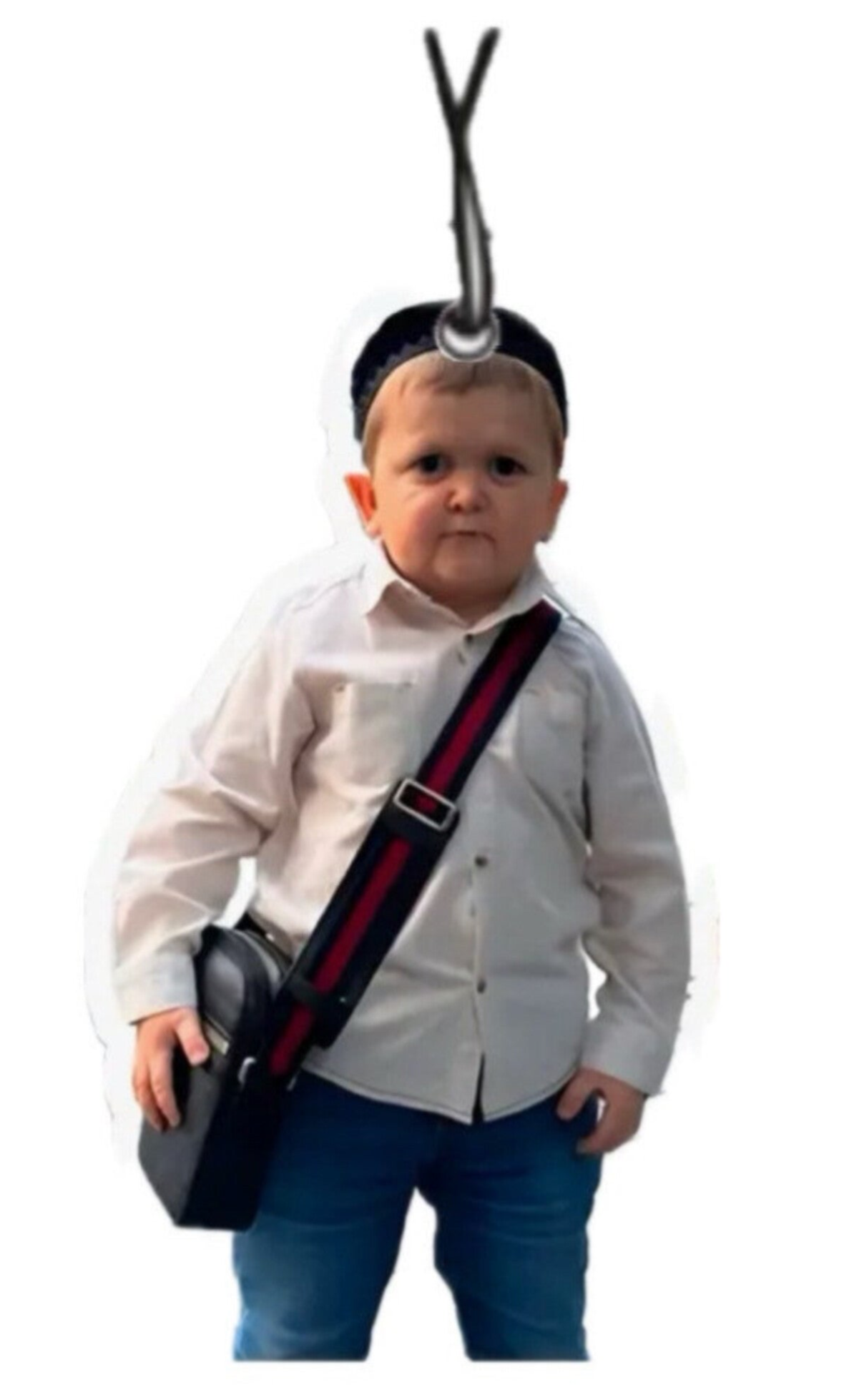 HASBULLA AIR FRESHER!🫐