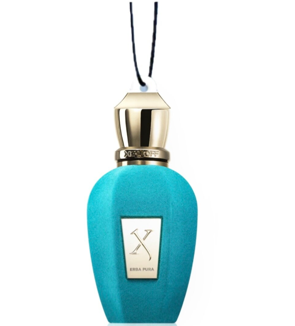 XERJOFF AIR FRESHER!🫐