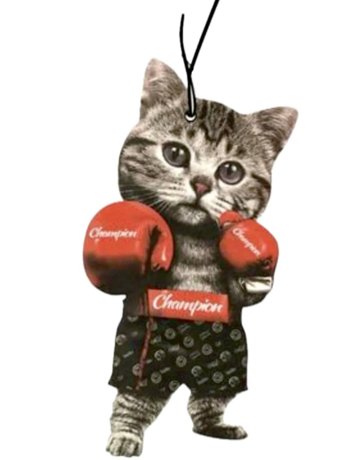 BOXING CAT AIR FRESHER!🫐