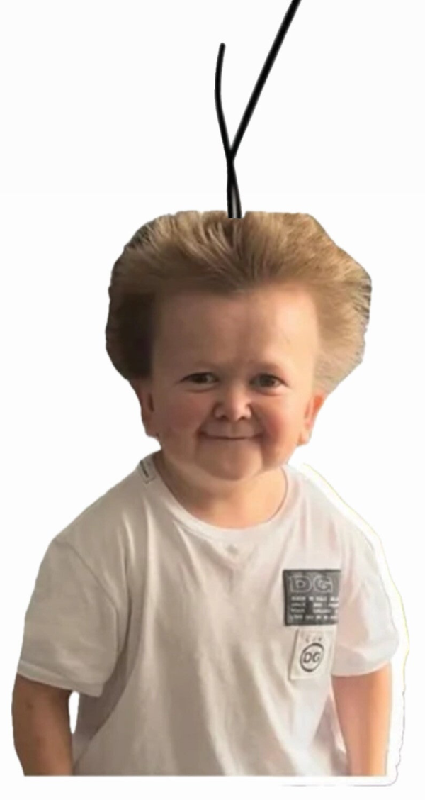 HASBULLA AIR FRESHER!🫐