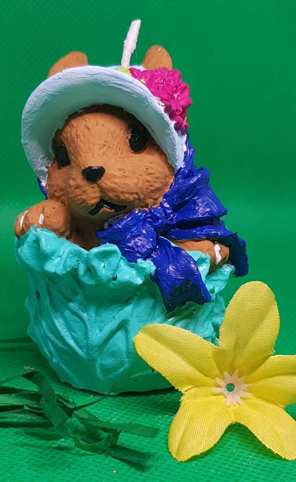 Hase im Kohl 1