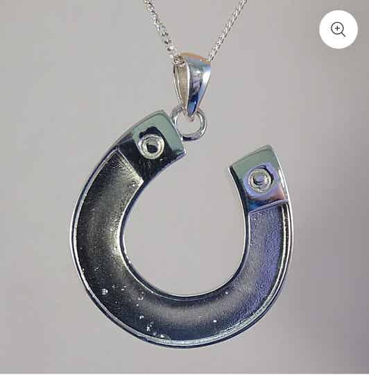 Horseshoe Pendant with chain