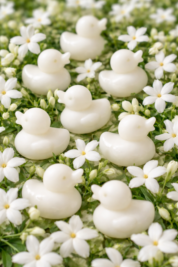 8 fondants canard au jasmin🪷