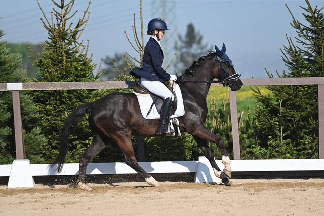 claudia-gitter_dsc_7038_m-max-1200px-_21acb143_-standard.jpg