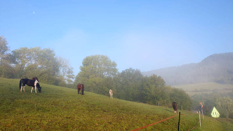 img-20240921-wa0003-standard.jpg