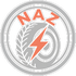 NAZroadside assistance.net