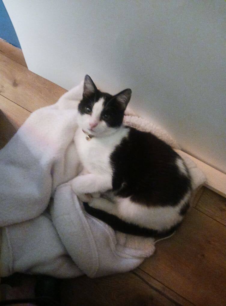 Astronauts in training