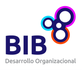 B.Ib Consultoría