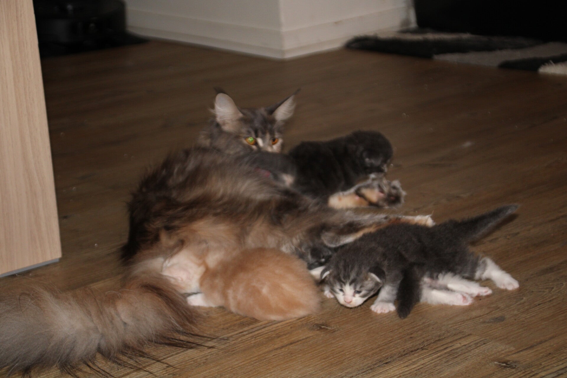 img_2078-standard.jpg