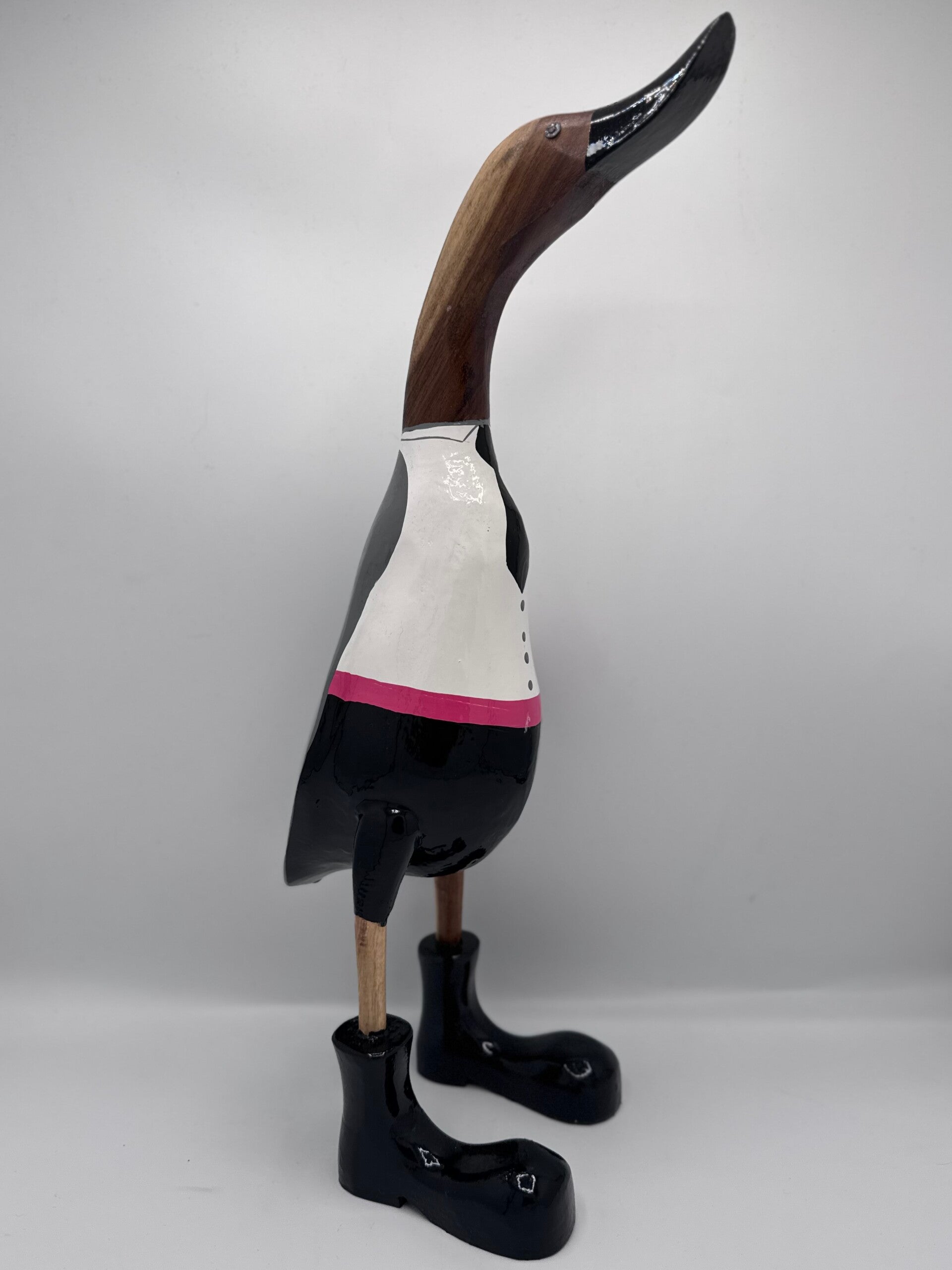 James the Gentleman Duck