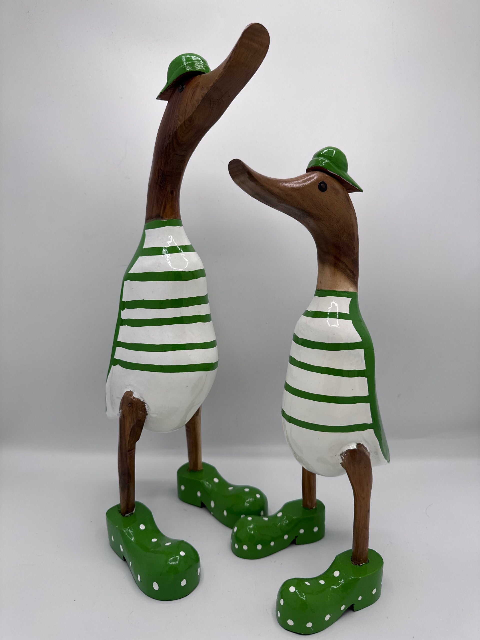 Ricky the Duck