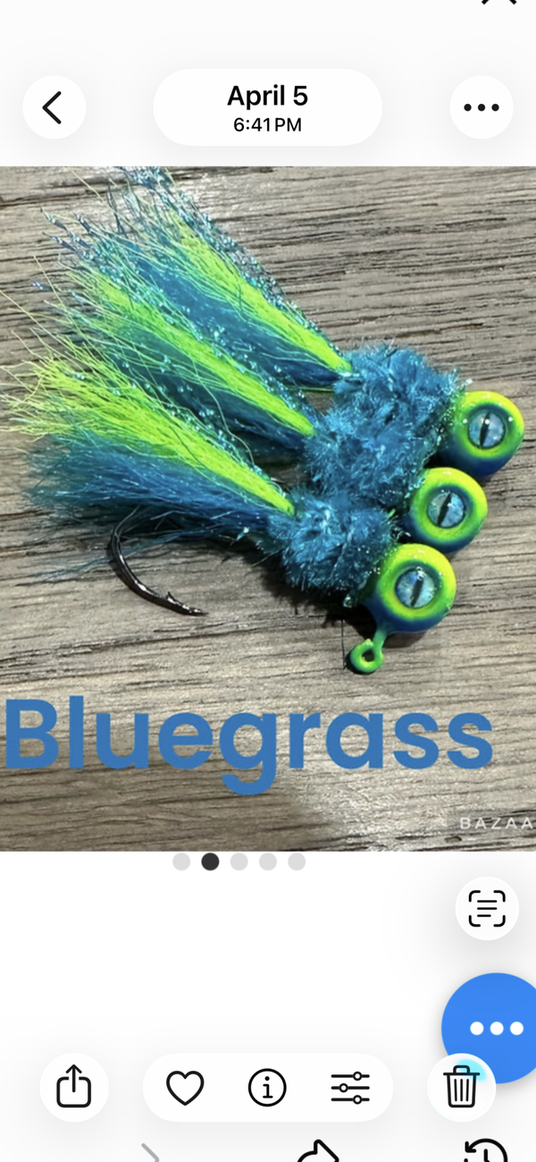 Bluegrass