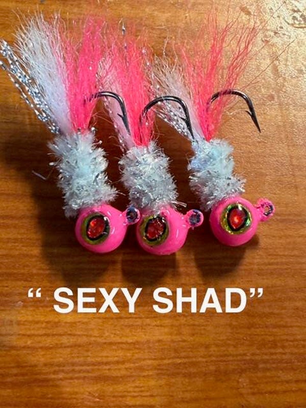 "Sexy Shad"