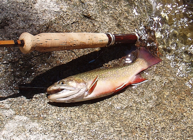 birmingham-fishing-adventures-one-on-one-fishing-lesson