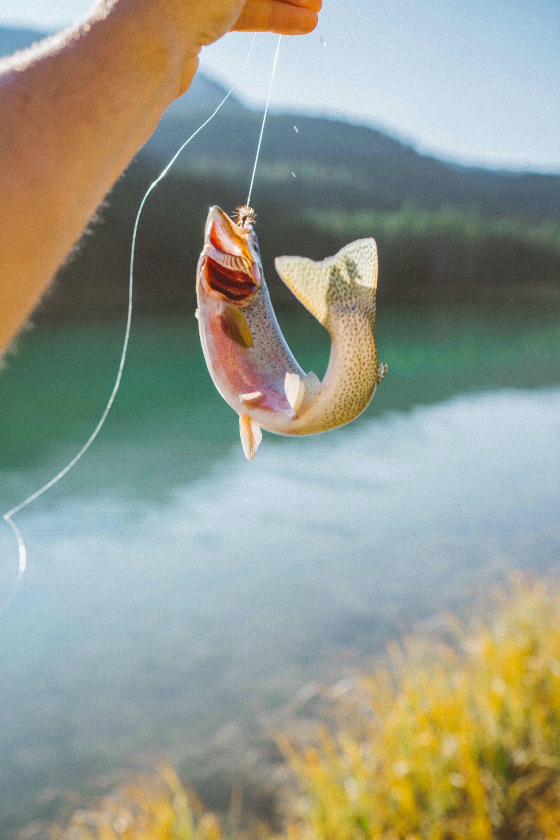 birmingham-fishing-adventures-beginner-fishing-lesson