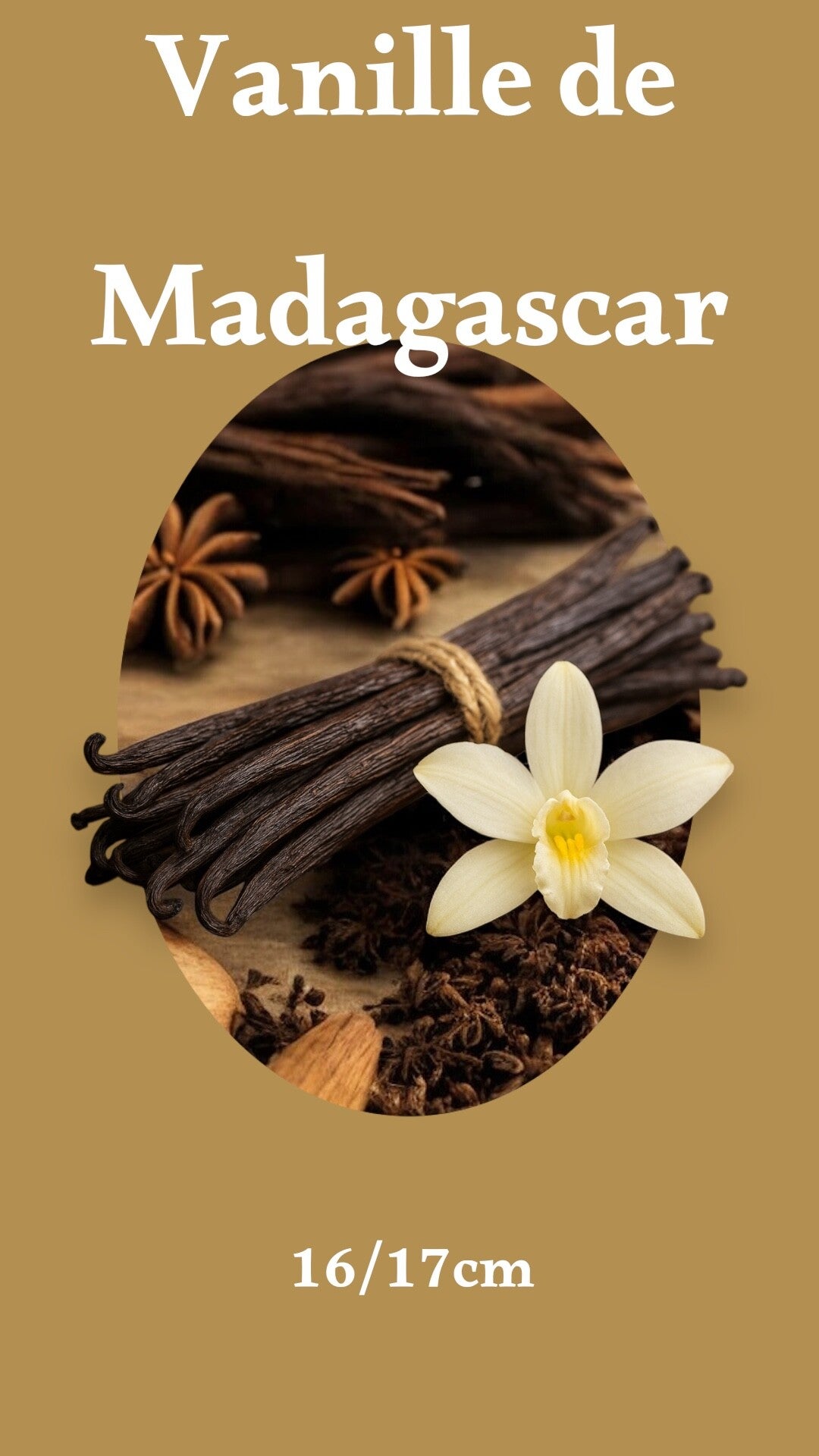 gousse de vanille de Madagascar