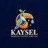 kaysel Premium Cleaning Services
