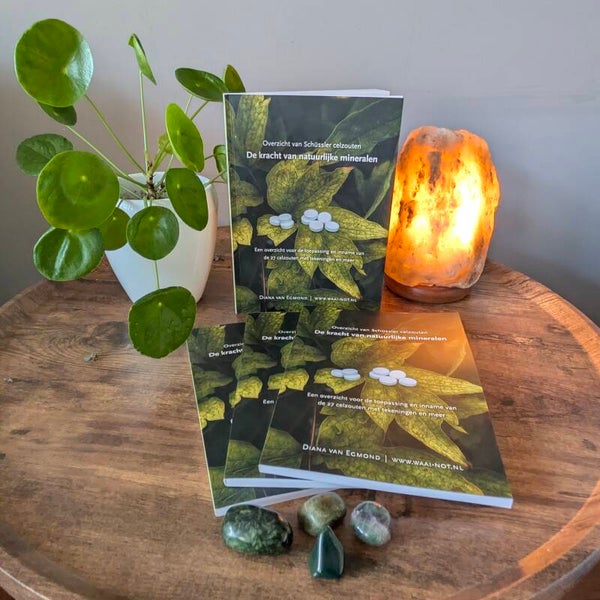 Boek "De kracht van natuurlijke mineralen"