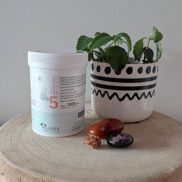 Celzout nr. 5 Kalium Phosphoricum D6 1000 tableten