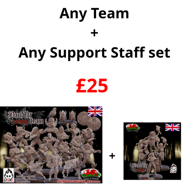 Team and Support Staff deal