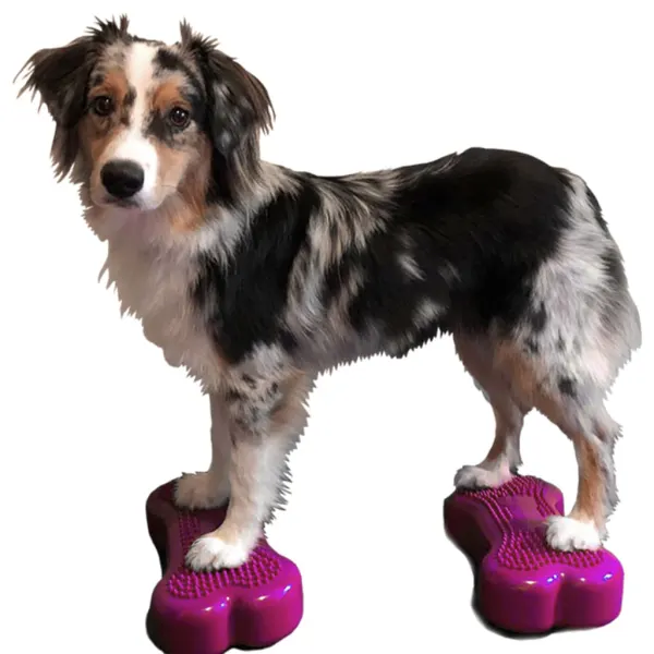 FitPAWS Pet Balance Platform "Mini K9FITbone" 2 stuks 29x16,5x6 cm