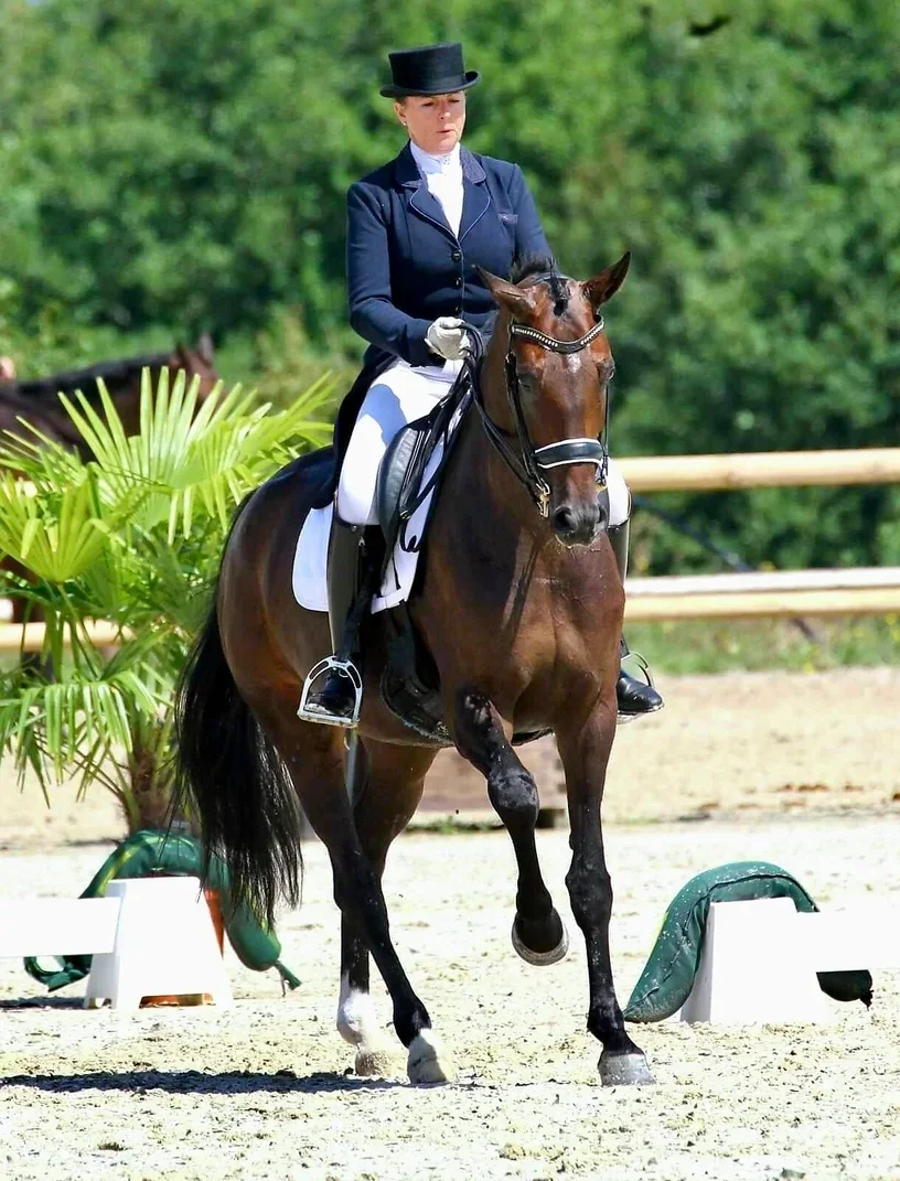 sandrine kahn proux dressage cheval vendée