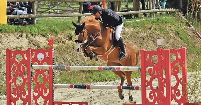 laurent le vot cheval saut d'obstacle cso limousin