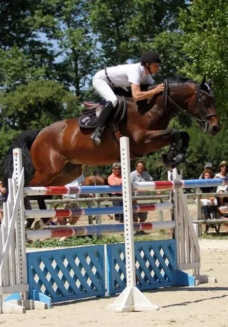 christelle cucchi cheval saut d'obstacle cso jeunes chevaux