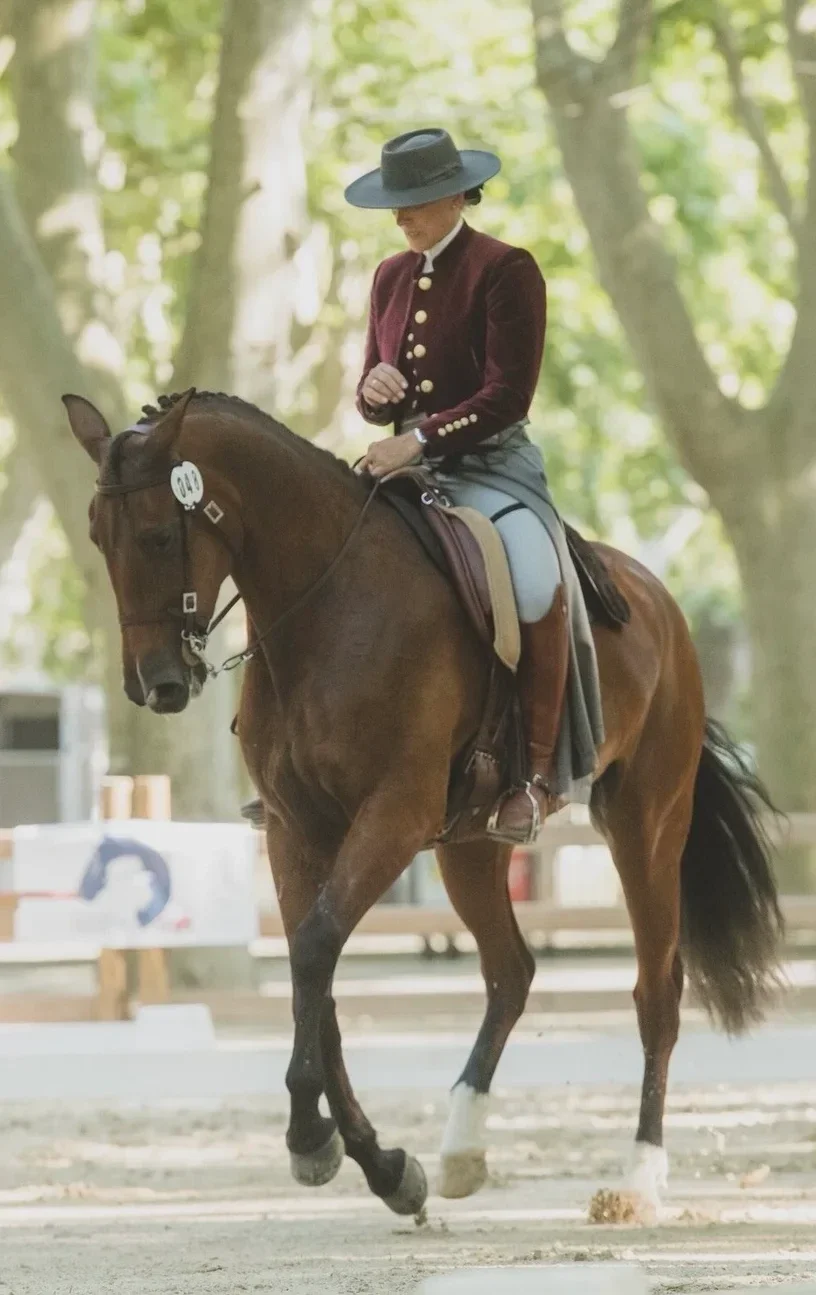 Maryline Brocard cheval équitation de travail haute savoie 