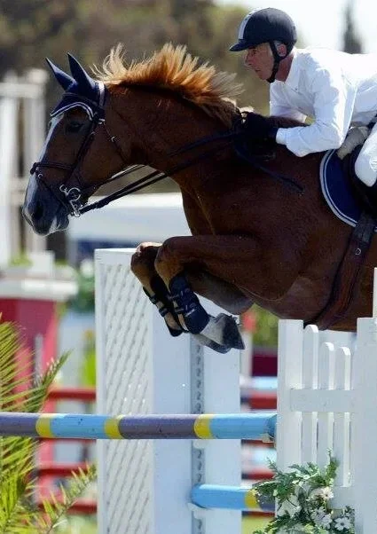 gilles bertran de balada cheval saut d'obstacle cso vaucluse