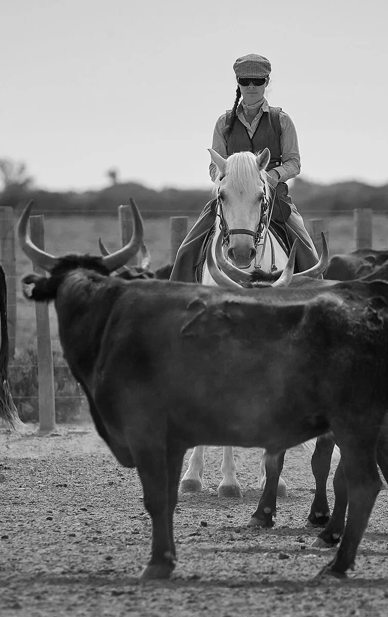 céline legaz tri de bétail cheval hérault occitanie