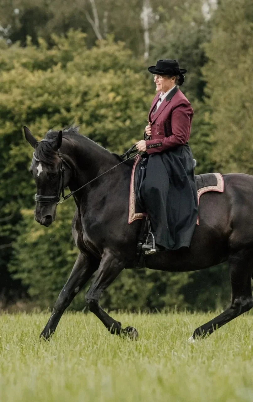 nathalie burgat cheval équitation de travail loire atlantique