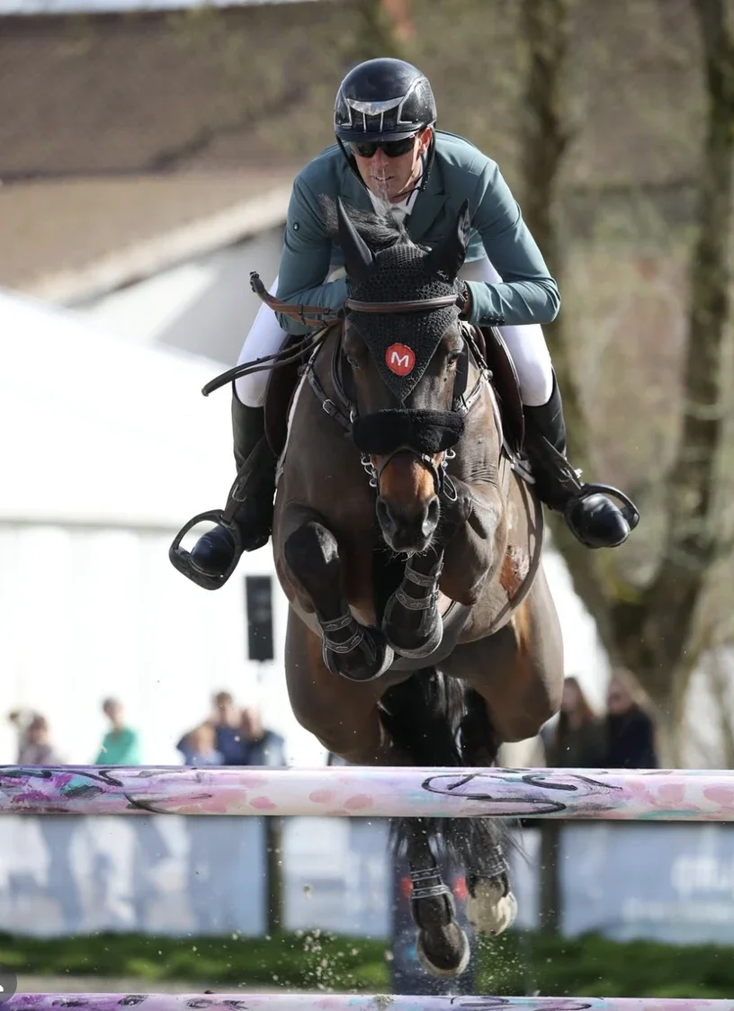 ludovic gaudin cheval saut d'obstacle cso loire