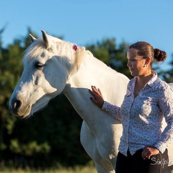 émilie defranoux équitation éthologique yvelines paris cheval 