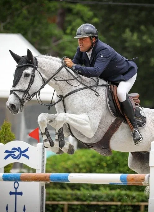 jérôme gachignard cheval saut d'obstacle cso charente maritime
