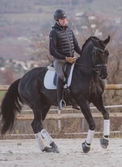 adrien berne cheval dressage spectacle rhône