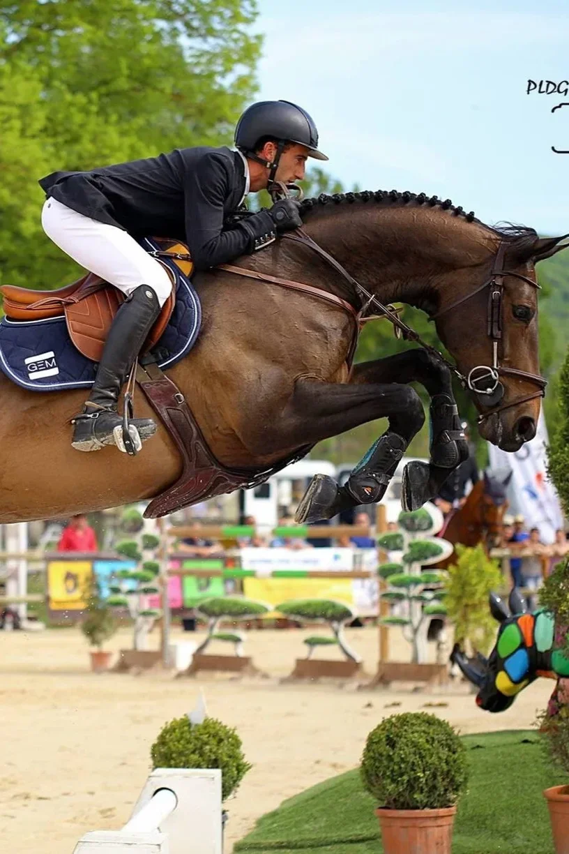 harold boisset cheval saut d'obstacle cso hérault