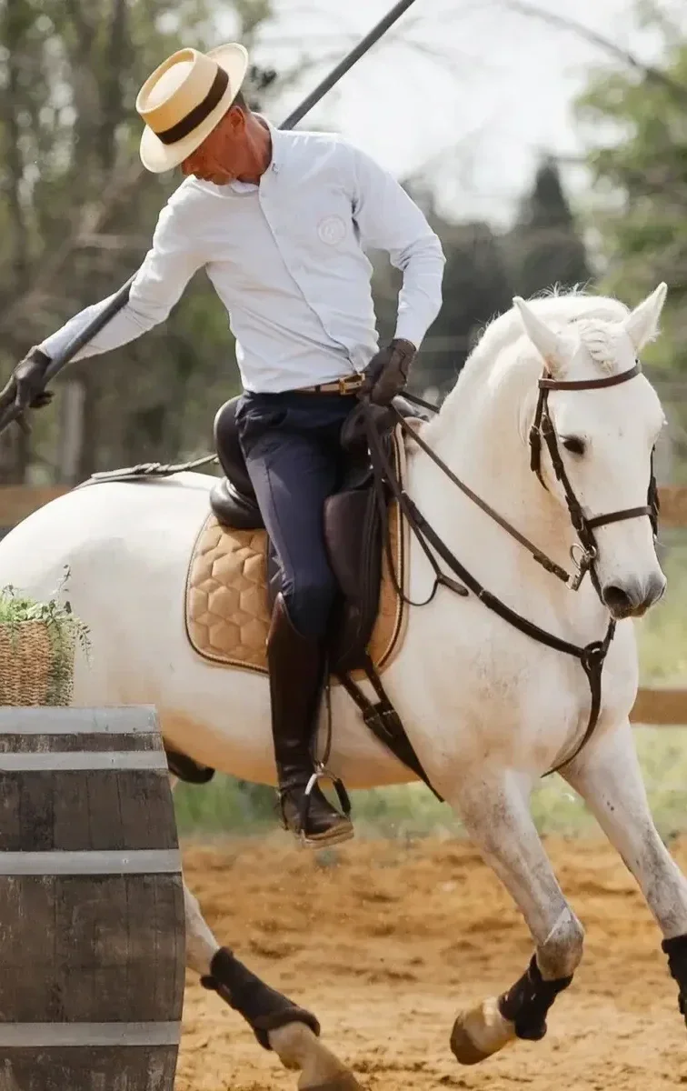 hervé maurel équitation de travail gard