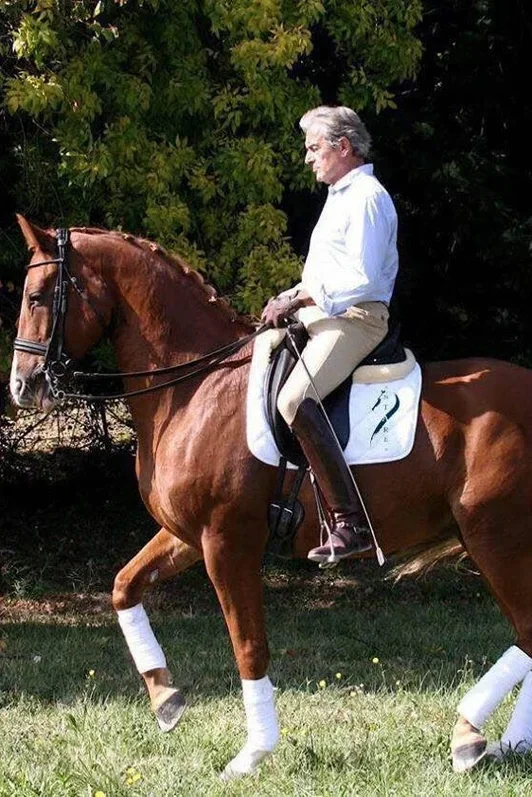 Christian Forlini cheval dressage gard marguerittes
