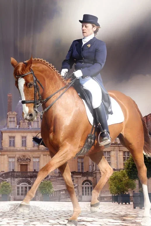 dressage catherine leroy cheval pyrénées orientales occitanie