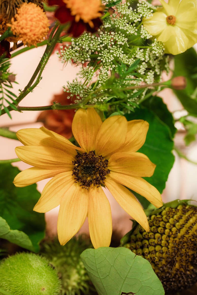 shoot_floral-165-standard-jhaekb.jpg