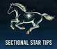 Sectional Star Tips