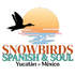 Snowbirds Spanish &amp; Soul