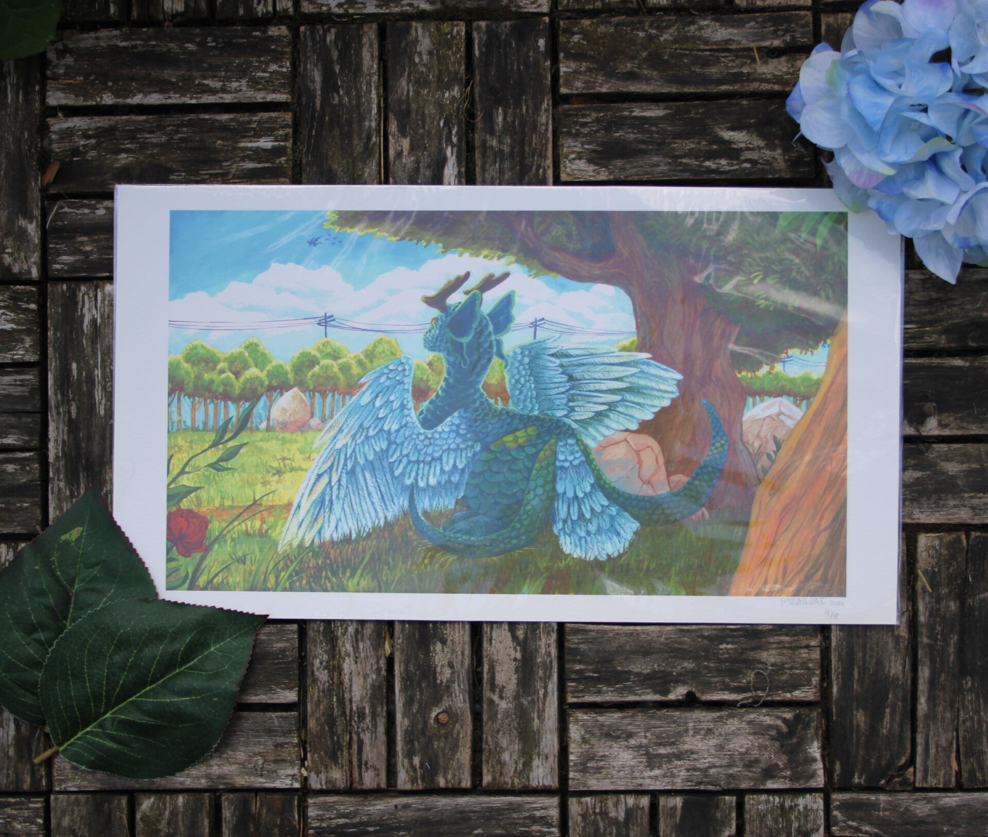 "The Common Cornswallow" Limited Edition Giclee Print