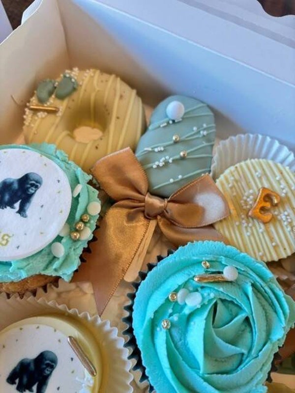Treatbox