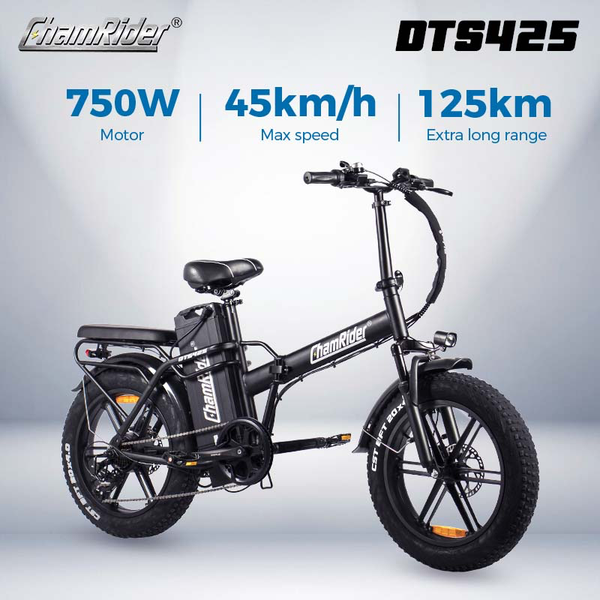 ChamRider DTS425 Ebike