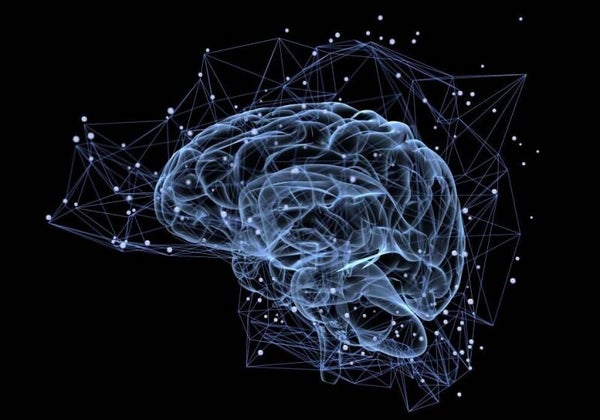 Neuro Reset & Recovery